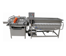 STW-306L-1旋流式洗菜機(jī)